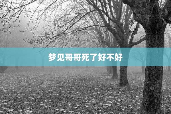 梦见哥哥死了好不好