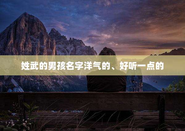 姓武的男孩名字洋气的、好听一点的