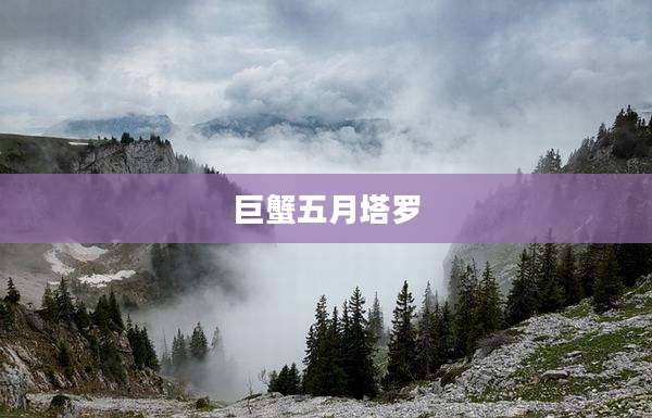 巨蟹五月塔罗