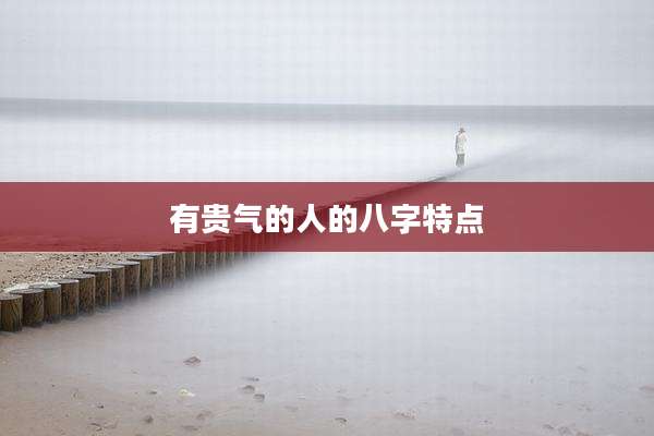 有贵气的人的八字特点