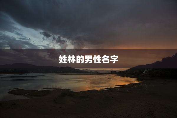 姓林的男性名字