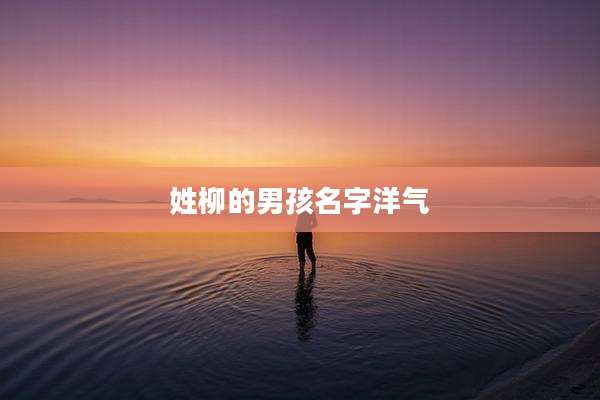 姓柳的男孩名字洋气
