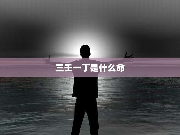 三壬一丁是什么命