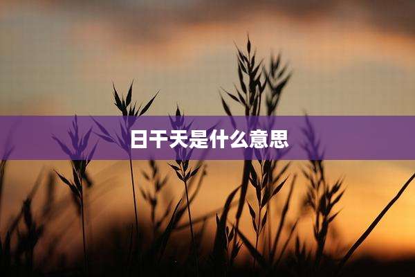 日干天是什么意思