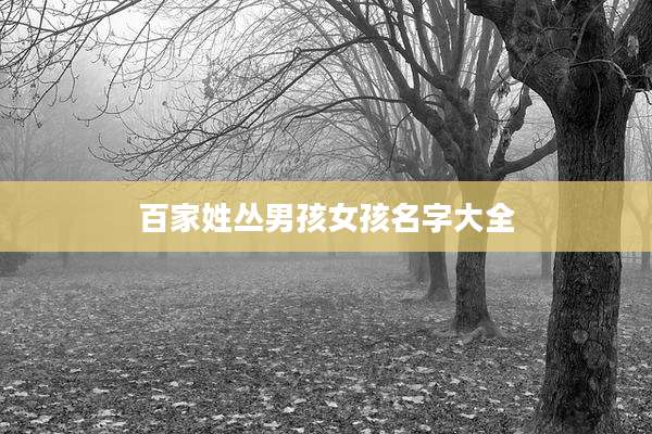 百家姓丛男孩女孩名字大全