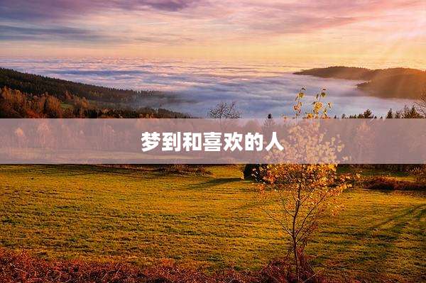 梦到和喜欢的人