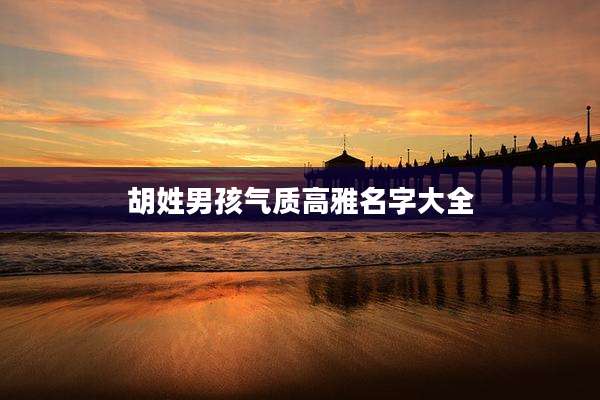 胡姓男孩气质高雅名字大全