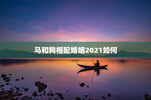 马和狗相配婚姻2021如何