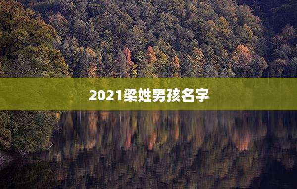 2021梁姓男孩名字