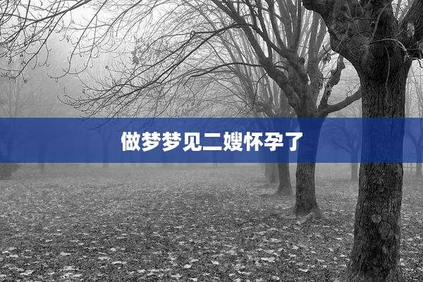 做梦梦见二嫂怀孕了