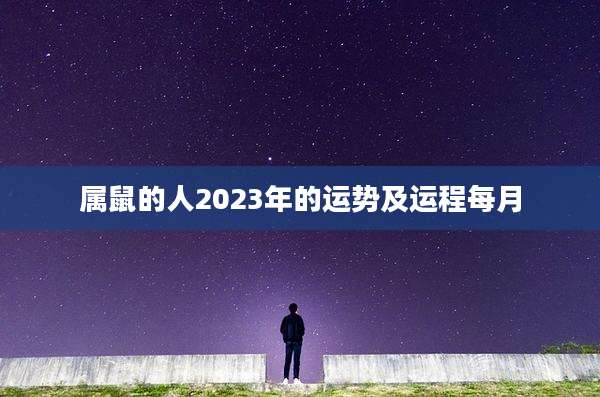 属鼠的人2023年的运势及运程每月