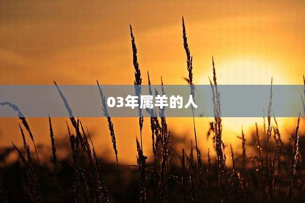 03年属羊的人