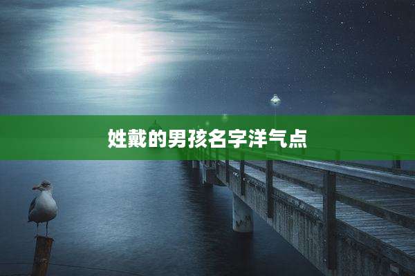 姓戴的男孩名字洋气点