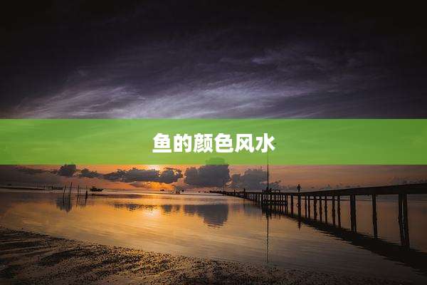 鱼的颜色风水