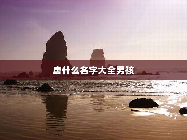 唐什么名字大全男孩