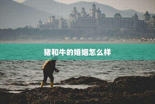 猪和牛的婚姻怎么样
