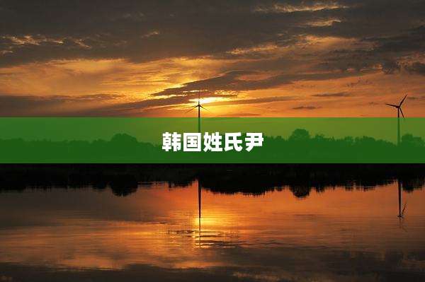 韩国姓氏尹