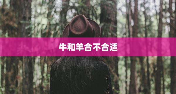 牛和羊合不合适