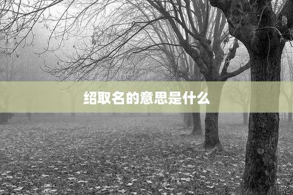 绍取名的意思是什么