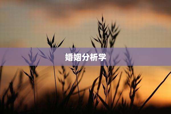 婚姻分析学