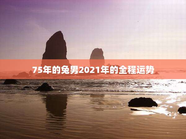 75年的兔男2021年的全程运势