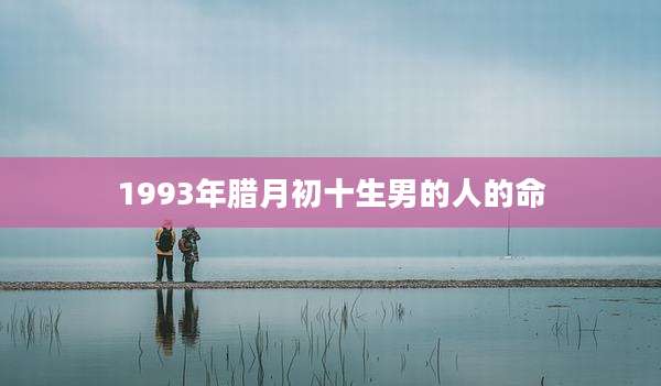 1993年腊月初十生男的人的命
