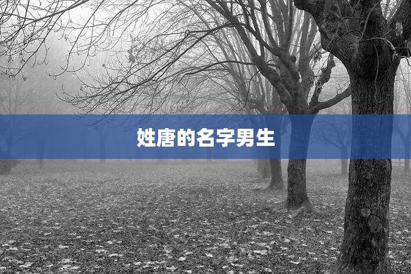 姓唐的名字男生