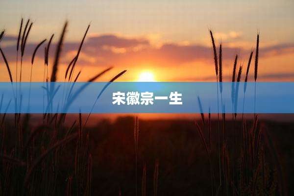 宋徽宗一生