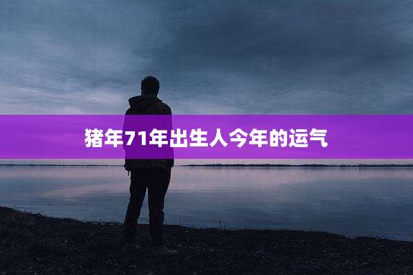 猪年71年出生人今年的运气