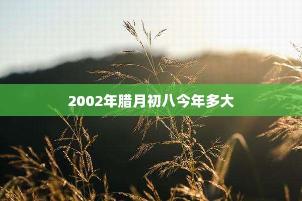 2002年腊月初八今年多大