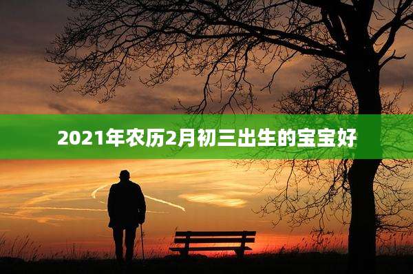 2021年农历2月初三出生的宝宝好