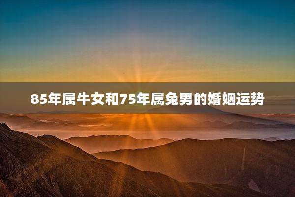 85年属牛女和75年属兔男的婚姻运势