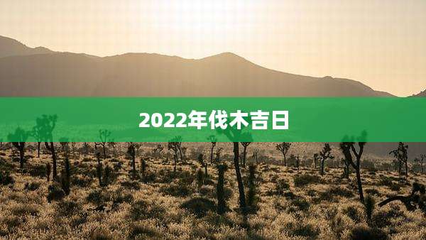 2022年伐木吉日