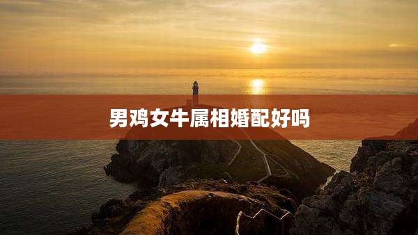 男鸡女牛属相婚配好吗