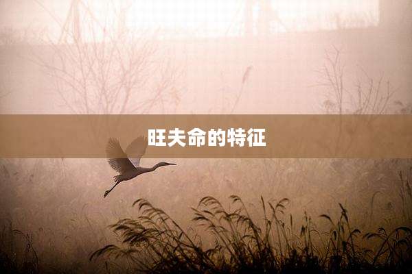 旺夫命的特征