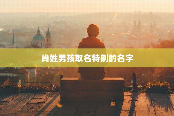 肖姓男孩取名特别的名字