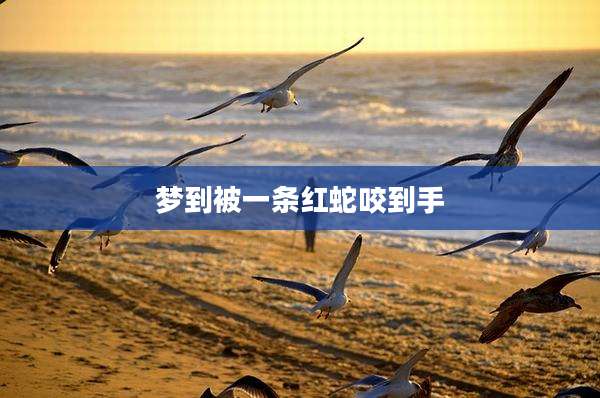 梦到被一条红蛇咬到手