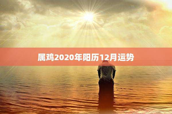 属鸡2020年阳历12月运势
