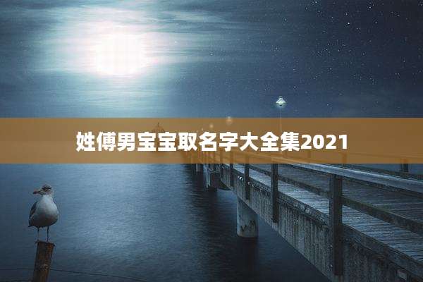 姓傅男宝宝取名字大全集2021