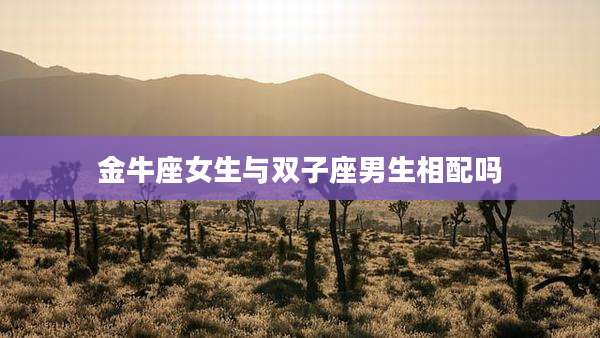 金牛座女生与双子座男生相配吗