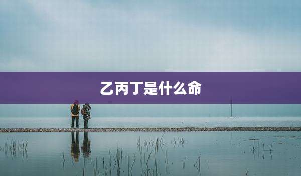 乙丙丁是什么命