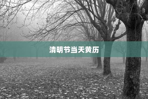 清明节当天黄历