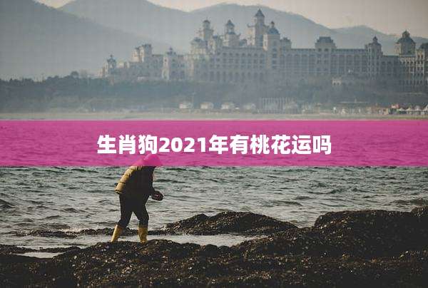 生肖狗2021年有桃花运吗