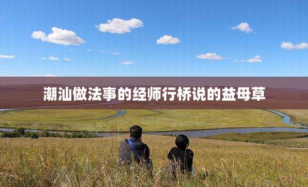 潮汕做法事的经师行桥说的益母草