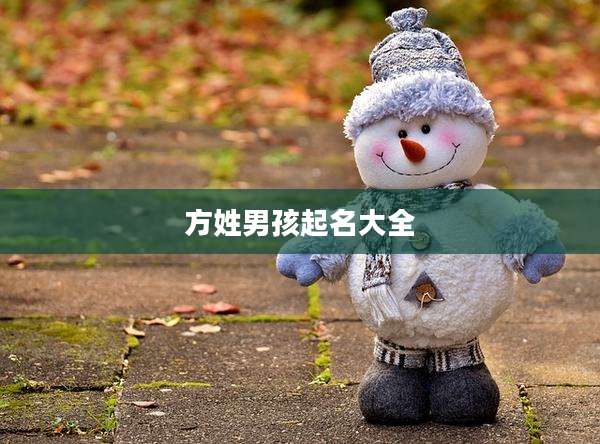 方姓男孩起名大全