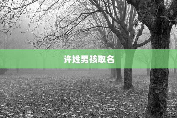 许姓男孩取名