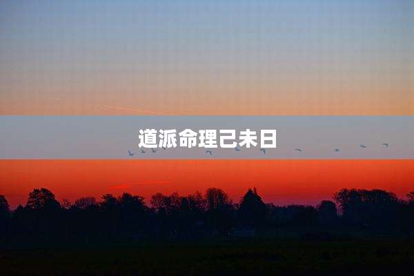 道派命理己未日
