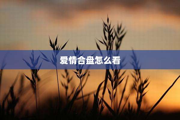 爱情合盘怎么看