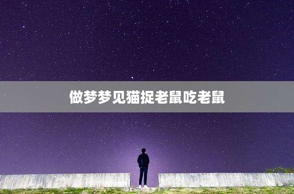 做梦梦见猫捉老鼠吃老鼠