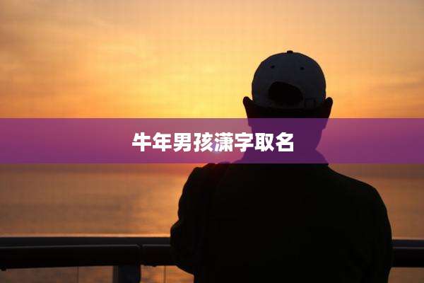 牛年男孩潇字取名